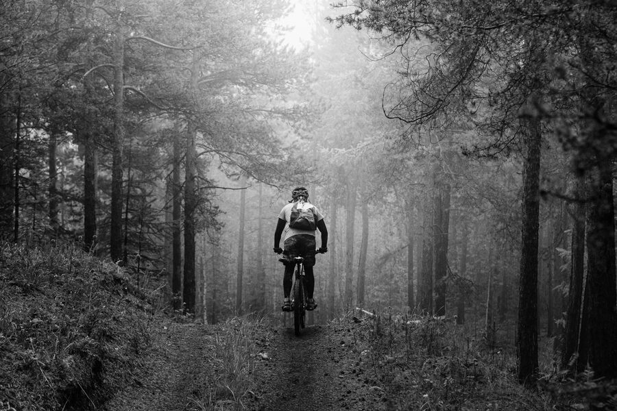 Cyclist with backpack riding mountain bike on forest trail in fog